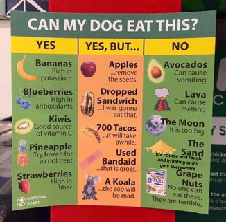 Can my dog eat that.jpg